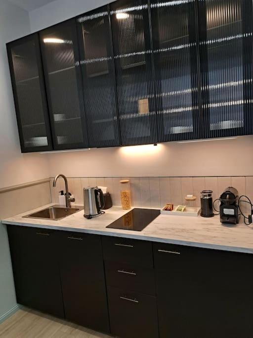 Golden Palms Apartment In The City Centre 리가 외부 사진